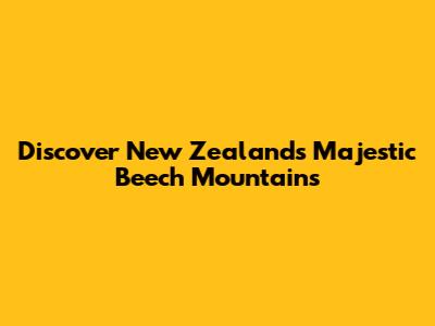 Discover New Zealand's Majestic Beech Mountains
