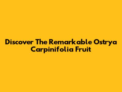 Discover The Remarkable Ostrya Carpinifolia Fruit