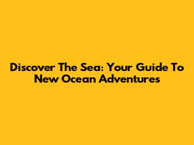 Discover The Sea: Your Guide To New Ocean Adventures