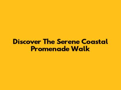 Discover The Serene Coastal Promenade Walk