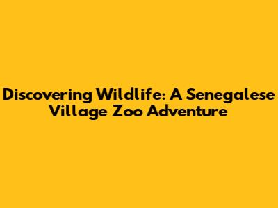 Discovering Wildlife: A Senegalese Village Zoo Adventure