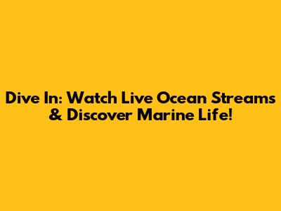 Dive In: Watch Live Ocean Streams & Discover Marine Life!