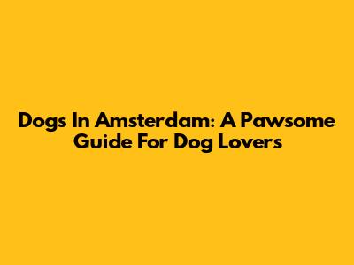 Dogs In Amsterdam: A Pawsome Guide For Dog Lovers