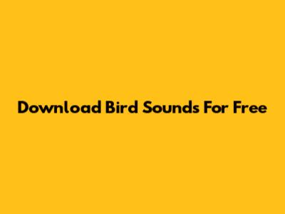 Download Bird Sounds For Free