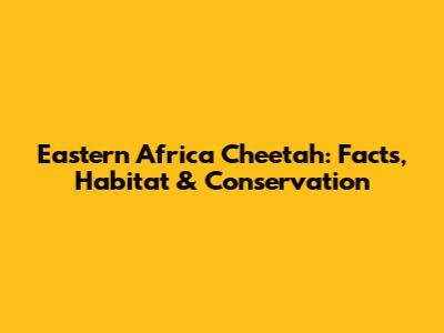 Eastern Africa Cheetah: Facts, Habitat & Conservation