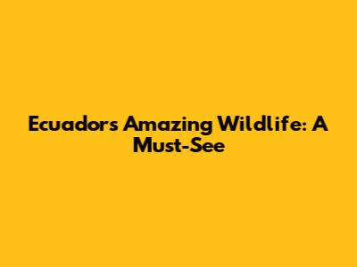 Ecuador's Amazing Wildlife: A Must-See