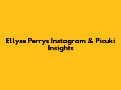 Ellyse Perry's Instagram & Picuki Insights