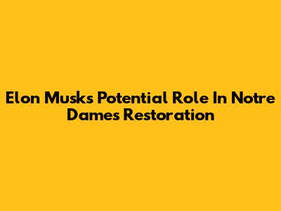 Elon Musk's Potential Role In Notre Dame's Restoration