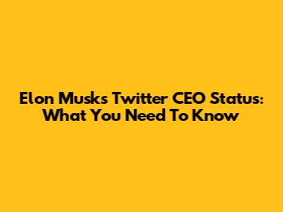 Elon Musk's Twitter CEO Status: What You Need To Know