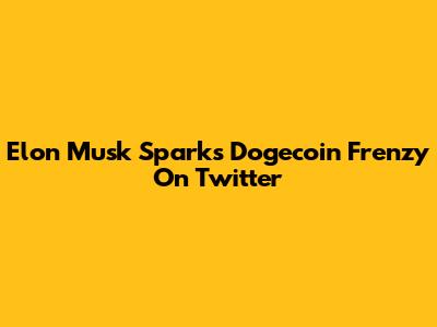 Elon Musk Sparks Dogecoin Frenzy On Twitter