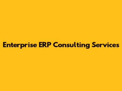 Enterprise ERP Consulting Services