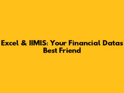 Excel & IIMIS: Your Financial Data's Best Friend