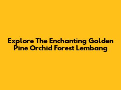 Explore The Enchanting Golden Pine Orchid Forest Lembang