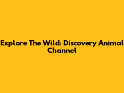 Explore The Wild: Discovery Animal Channel
