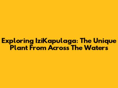 Exploring IziKapulaga: The Unique Plant From Across The Waters