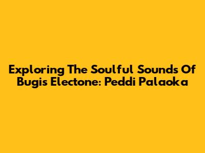 Exploring The Soulful Sounds Of Bugis Electone: Peddi Palaoka
