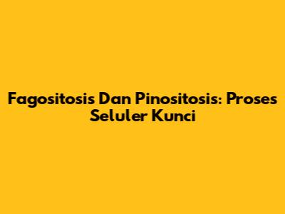 Fagositosis Dan Pinositosis: Proses Seluler Kunci