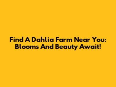 Find A Dahlia Farm Near You: Blooms And Beauty Await!