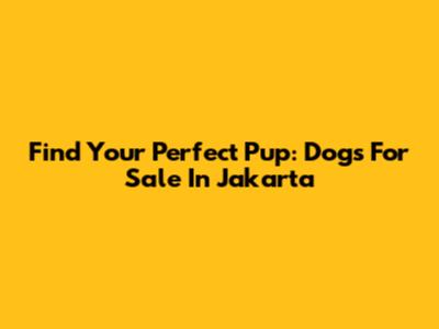 Find Your Perfect Pup: Dogs For Sale In Jakarta