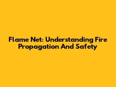 Flame Net: Understanding Fire Propagation And Safety
