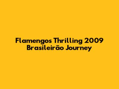 Flamengo's Thrilling 2009 Brasileirão Journey