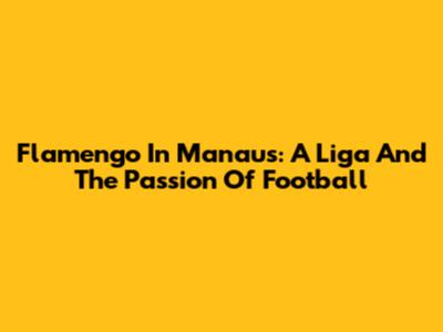 Flamengo In Manaus: A Liga And The Passion Of Football