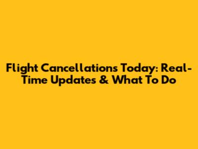 Flight Cancellations Today: Real-Time Updates & What To Do