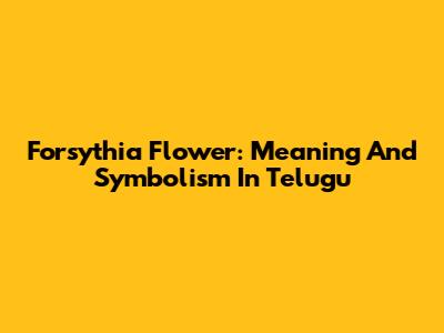 Forsythia Flower: Meaning And Symbolism In Telugu