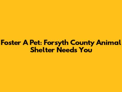 Foster A Pet: Forsyth County Animal Shelter Needs You