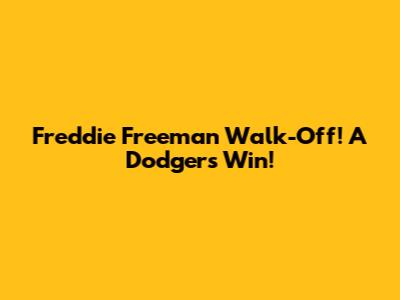 Freddie Freeman Walk-Off! A Dodgers Win!