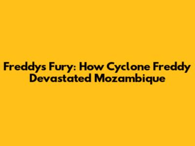 Freddy's Fury: How Cyclone Freddy Devastated Mozambique