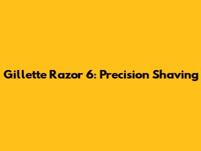 Gillette Razor 6: Precision Shaving