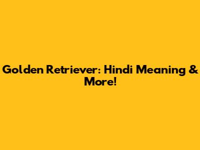 Golden Retriever: Hindi Meaning & More!