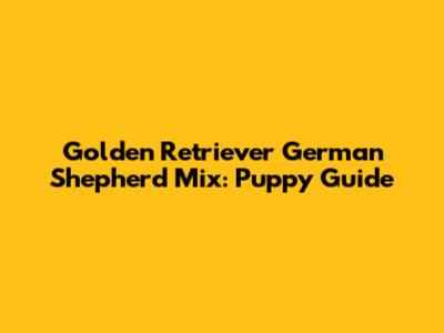 Golden Retriever German Shepherd Mix: Puppy Guide