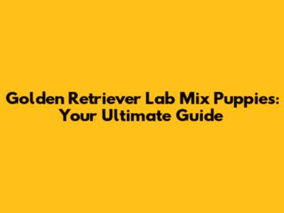 Golden Retriever Lab Mix Puppies: Your Ultimate Guide