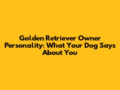 Golden Retriever Owner Personality: What Your Dog Says About You