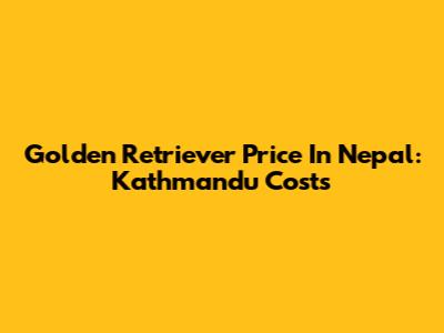 Golden Retriever Price In Nepal: Kathmandu Costs