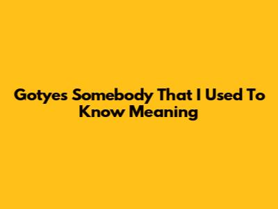 Gotye's "Somebody That I Used To Know" Meaning