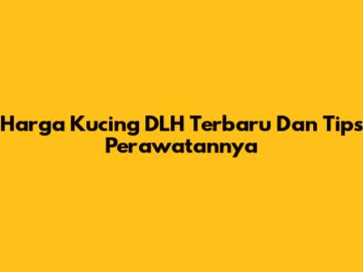 Harga Kucing DLH Terbaru Dan Tips Perawatannya