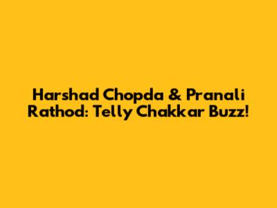 Harshad Chopda & Pranali Rathod: Telly Chakkar Buzz!