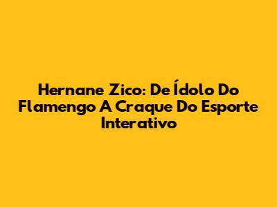 Hernane Zico: De Ídolo Do Flamengo A Craque Do Esporte Interativo