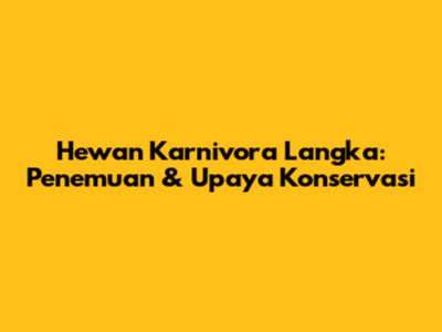 Hewan Karnivora Langka: Penemuan & Upaya Konservasi