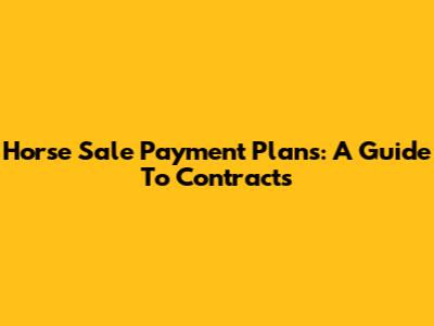 Horse Sale Payment Plans: A Guide To Contracts