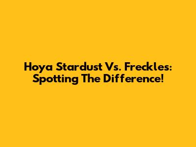 Hoya Stardust Vs. Freckles: Spotting The Difference!