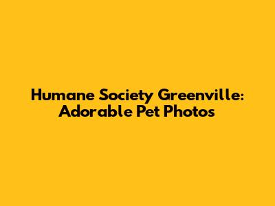 Humane Society Greenville: Adorable Pet Photos