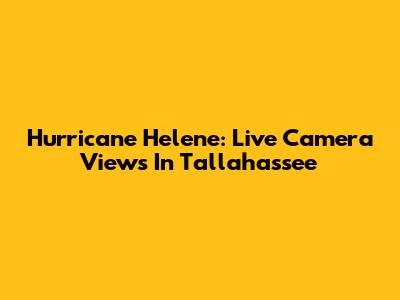 Hurricane Helene: Live Camera Views In Tallahassee