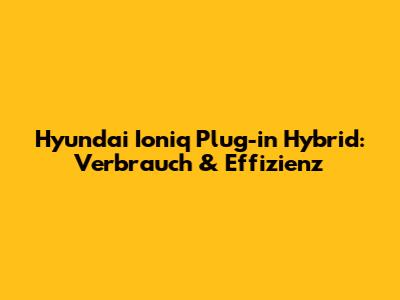 Hyundai Ioniq Plug-in Hybrid: Verbrauch & Effizienz