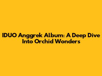 IDUO Anggrek Album: A Deep Dive Into Orchid Wonders