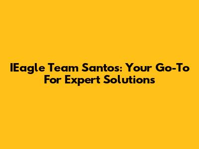 IEagle Team Santos: Your Go-To For Expert Solutions