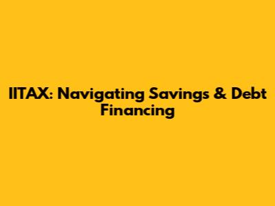 IITAX: Navigating Savings & Debt Financing